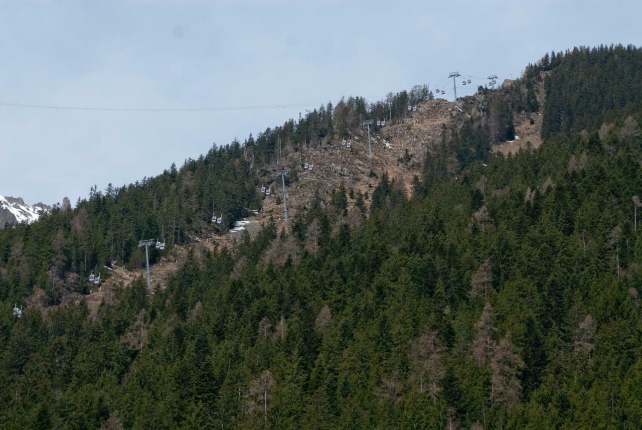 Front Ski Slope Chamonix Apartment Экстерьер фото